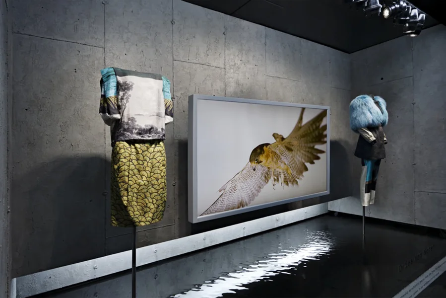 アート・デザイン・音楽 DRIES VAN NOTEN アート・デザイン・音楽 DRIES VAN NOTEN アート・デザイン・音楽